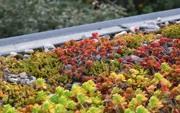 the cost of Faulkland green roof installation